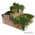 Minigarden Douglas hoekmodel 50x50/50x100/100x100 cm